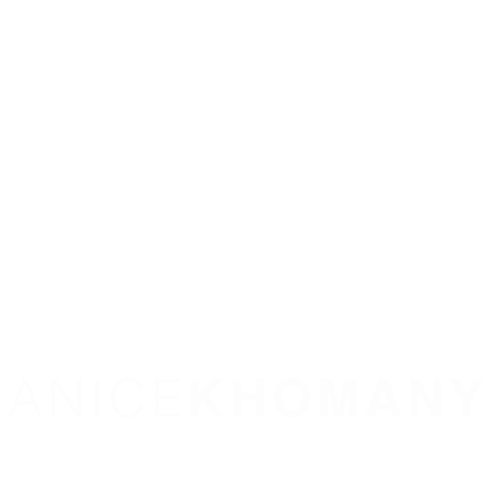 Anice Khomany Logo